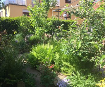 Nachhaltigkeit und Frugalismus
